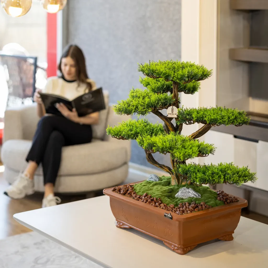 Bonsai Ağacı Bakımı Nasıl Yapılır